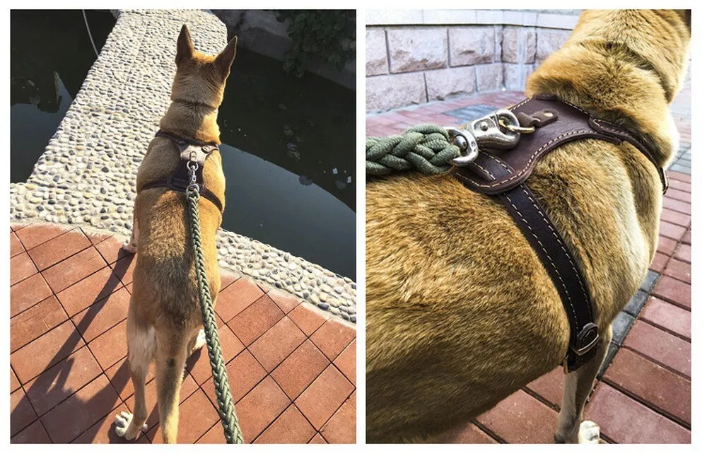 Leather Dog Vest Harness - Medium & Large Dogs