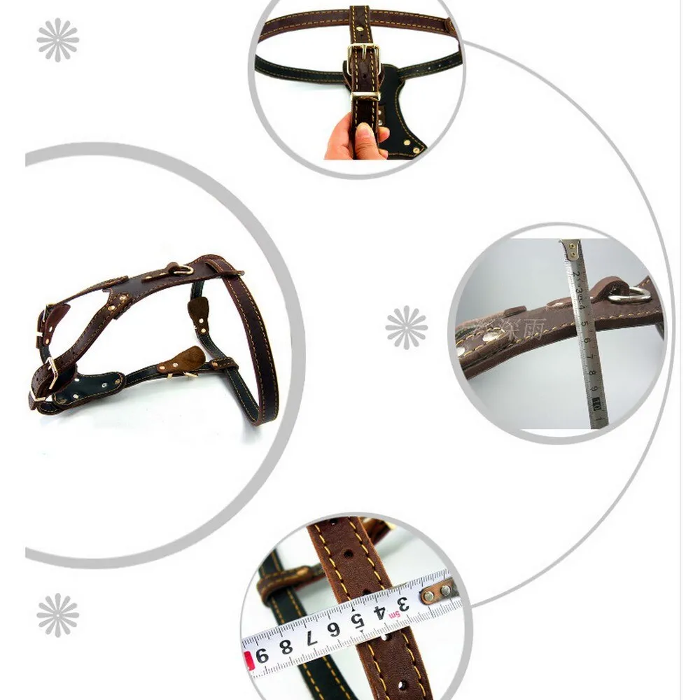 Leather Dog Vest Harness - Medium & Large Dogs