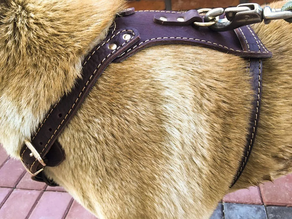 Leather Dog Vest Harness - Medium & Large Dogs