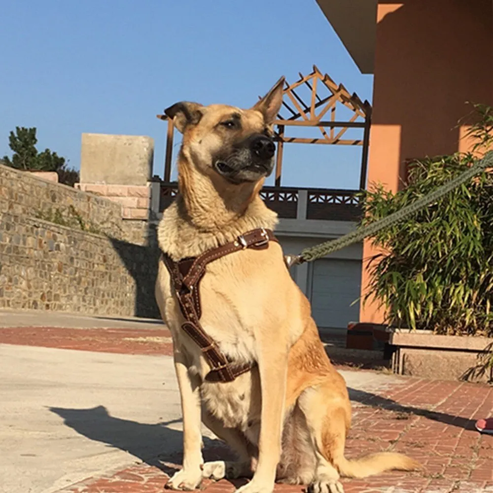 Leather Dog Vest Harness - Medium & Large Dogs