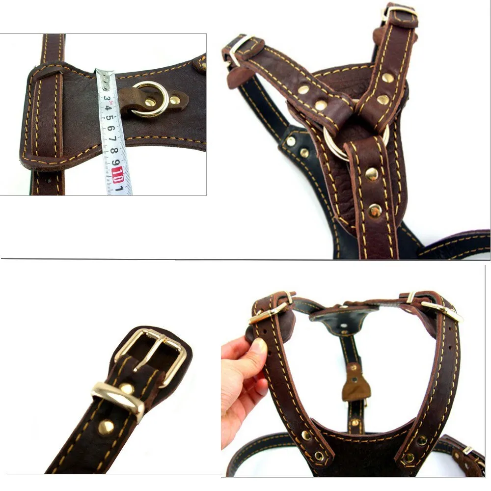 Leather Dog Vest Harness - Medium & Large Dogs
